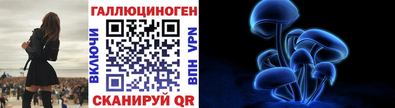 Купить где  Камень-на-Оби  Псилоцибиновые грибы Magic Shrooms 